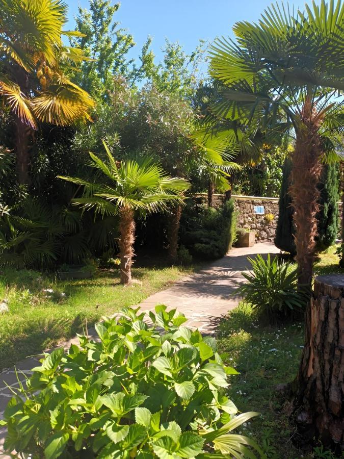 Waterfall & Pool Riva del Garda Exterior foto